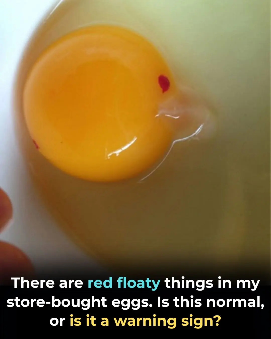 Are Eggs with Bl00d Spots Safe to Eat? The Truth Behind Those Tiny Red Specks