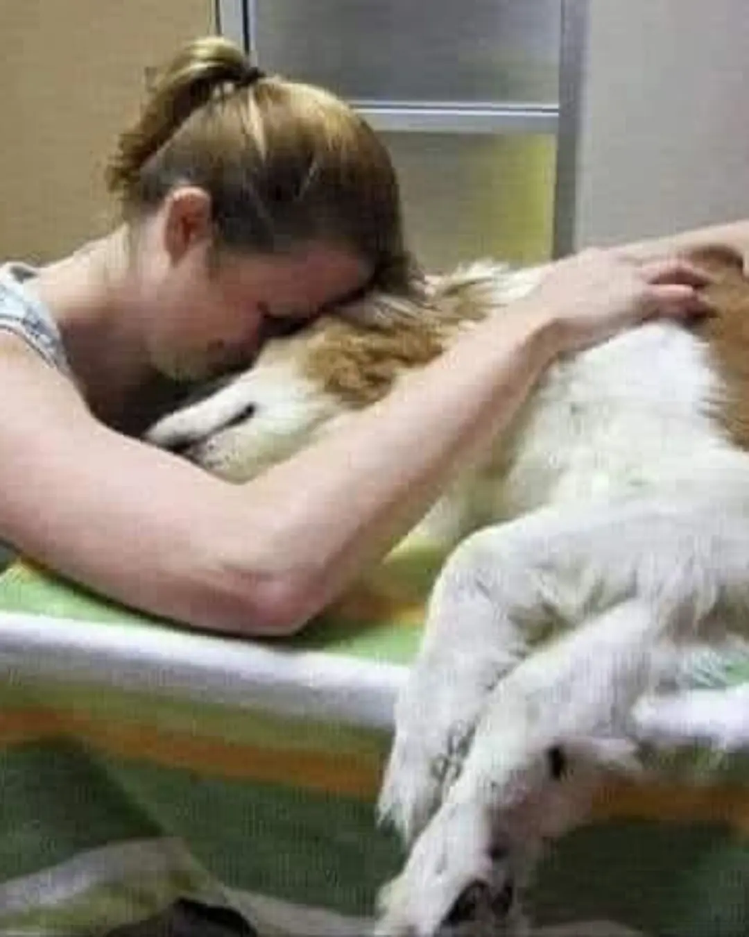 The Last Look: What Pets Wish for in Their Final Moments