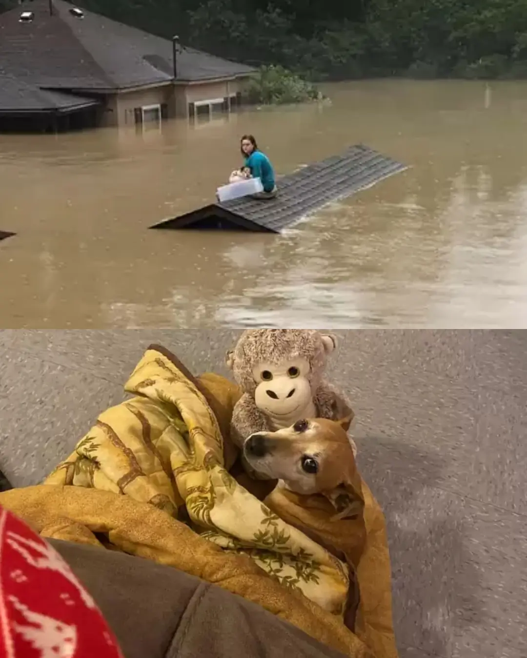 Against the Flood: Chloe and Sandy’s Fight to Survive.