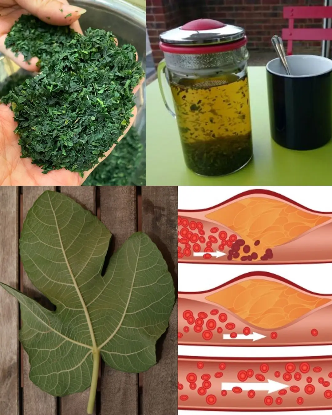 The Hidden Healing of Fig Leaves: Natural Support for Diabetes, Digestion, and More