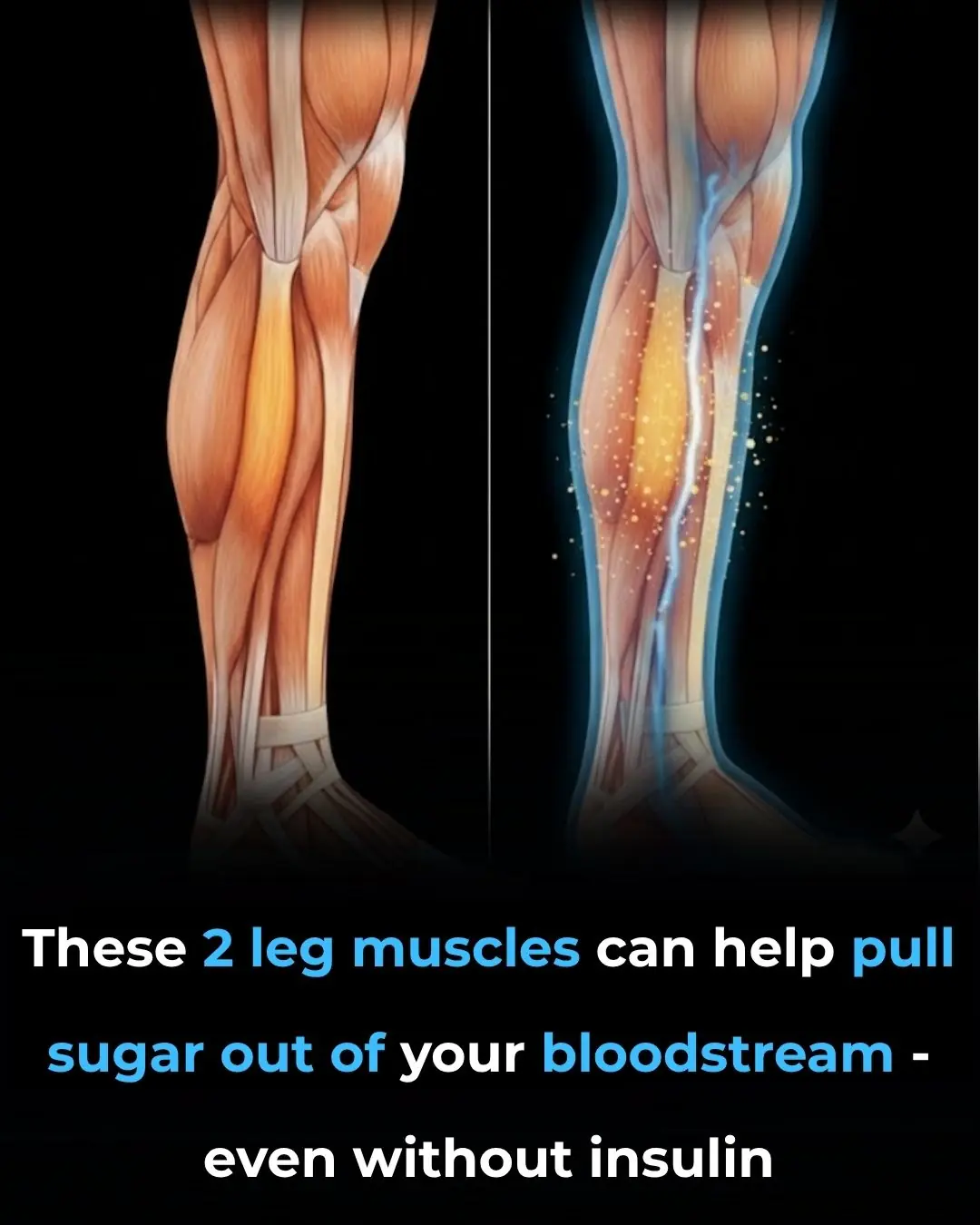 Lower blood sugar naturally by training just 2 leg muscles