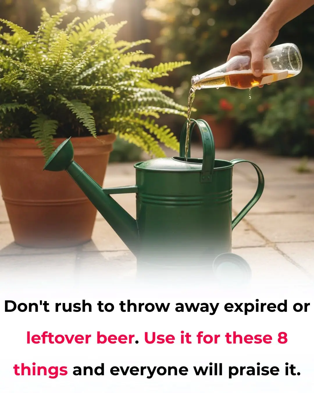 Don't rush to throw away expired or leftover beer. Use it for these 8 things and everyone will praise it