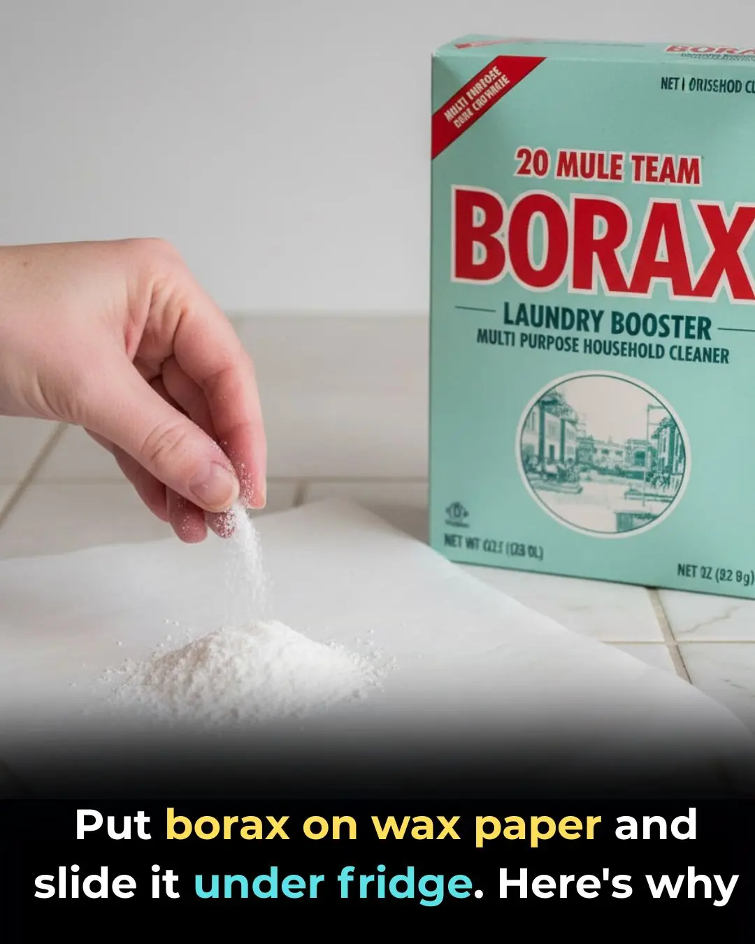 Put borax on wax paper and slide it under fridge. Here's why