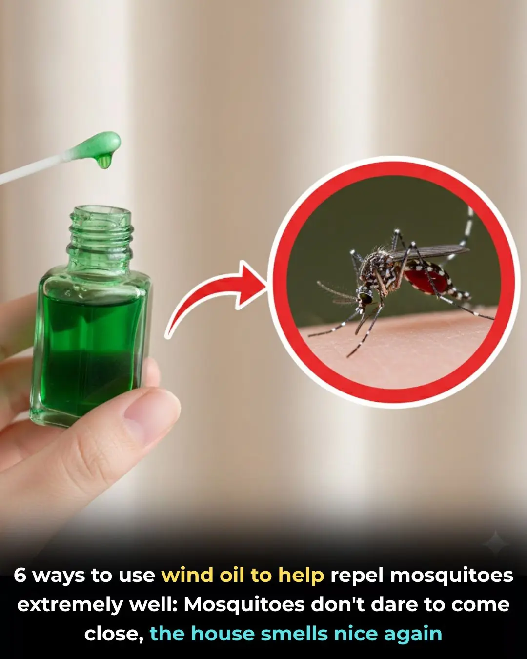 6 ways to use wind oil to help repel mosquitoes extremely well