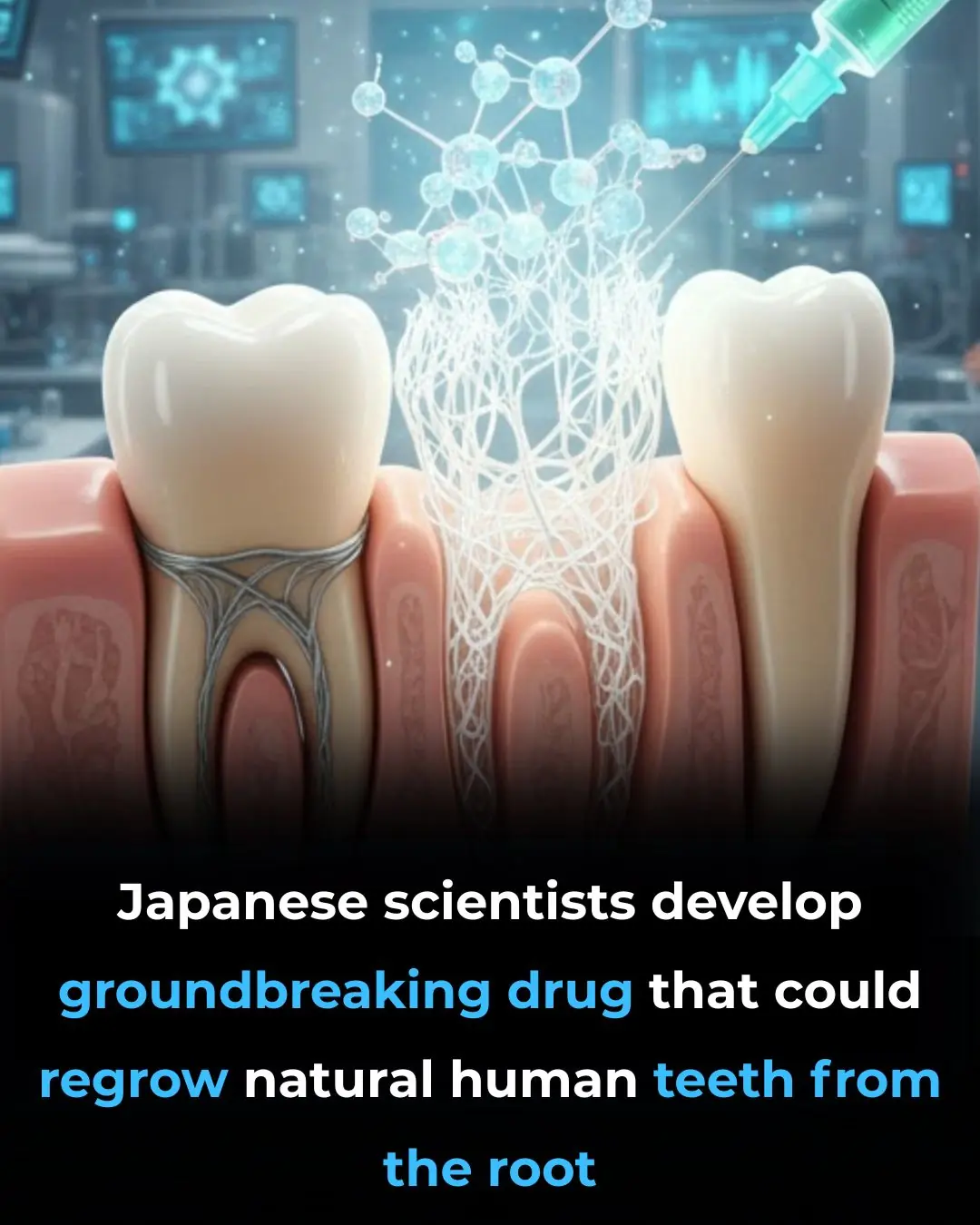 Japanese Scientists Develop Drug That Could Regrow Human Teeth