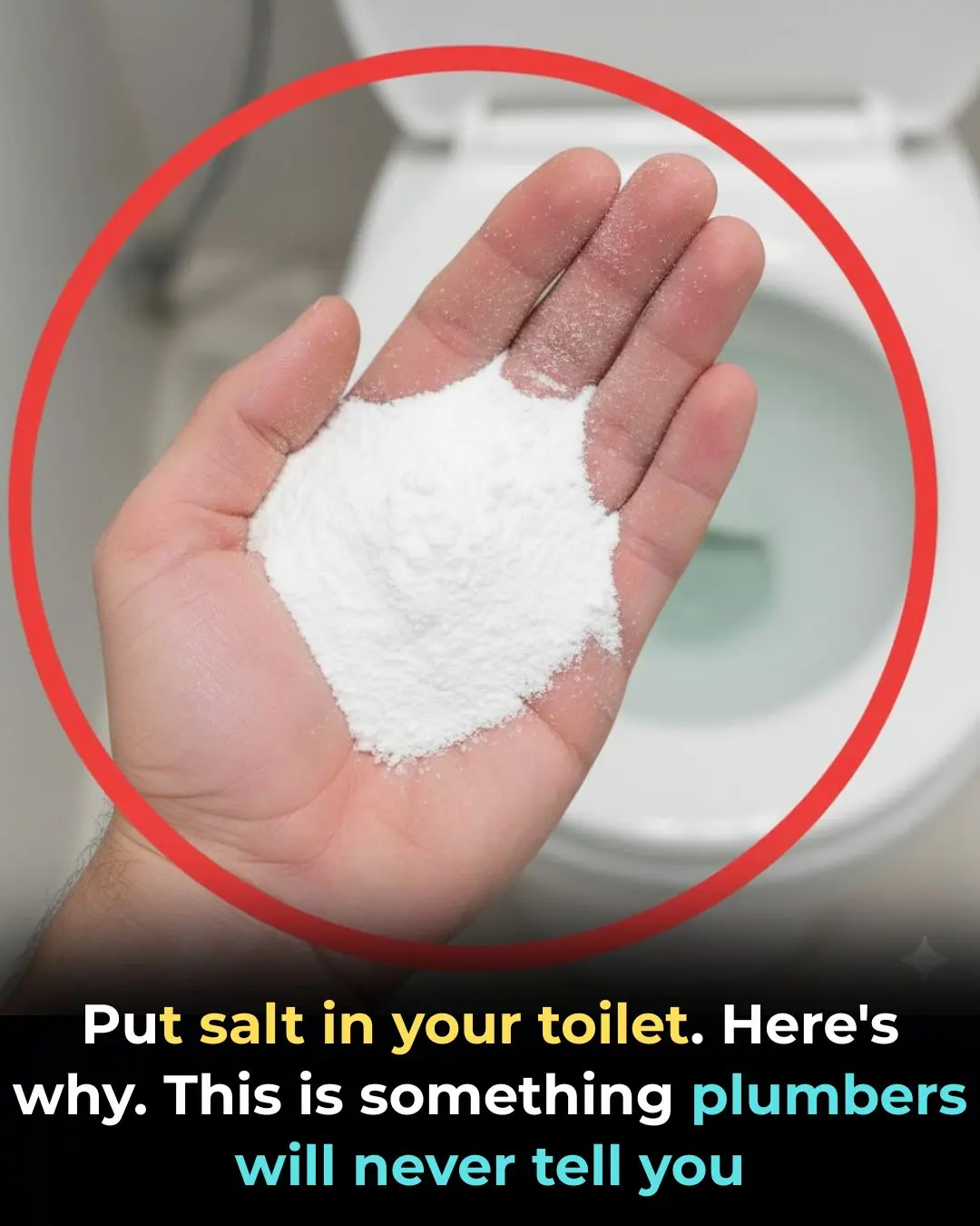 Why You Should Be Putting Salt in Your Toilet