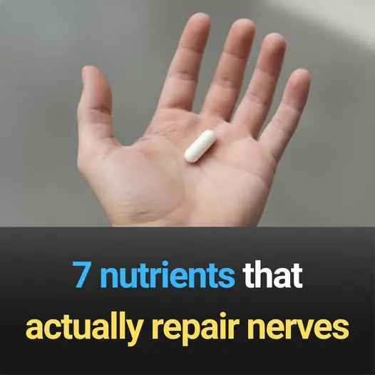 7 nutrients that actually repair nerves