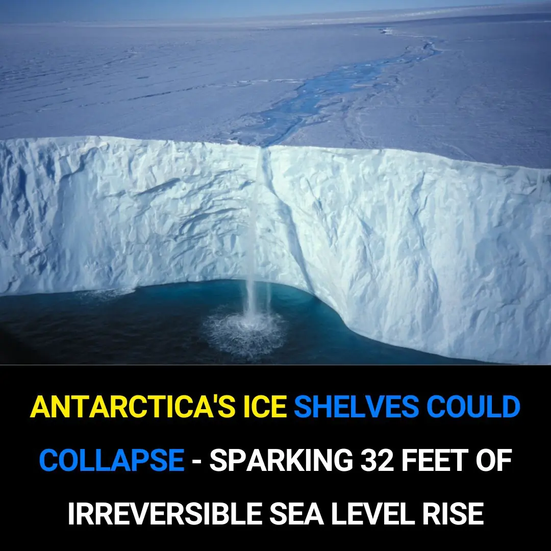 Antarctica’s Ice Shelves Could Collapse, Sparking 32 Feet of Irreversible Sea Level Rise