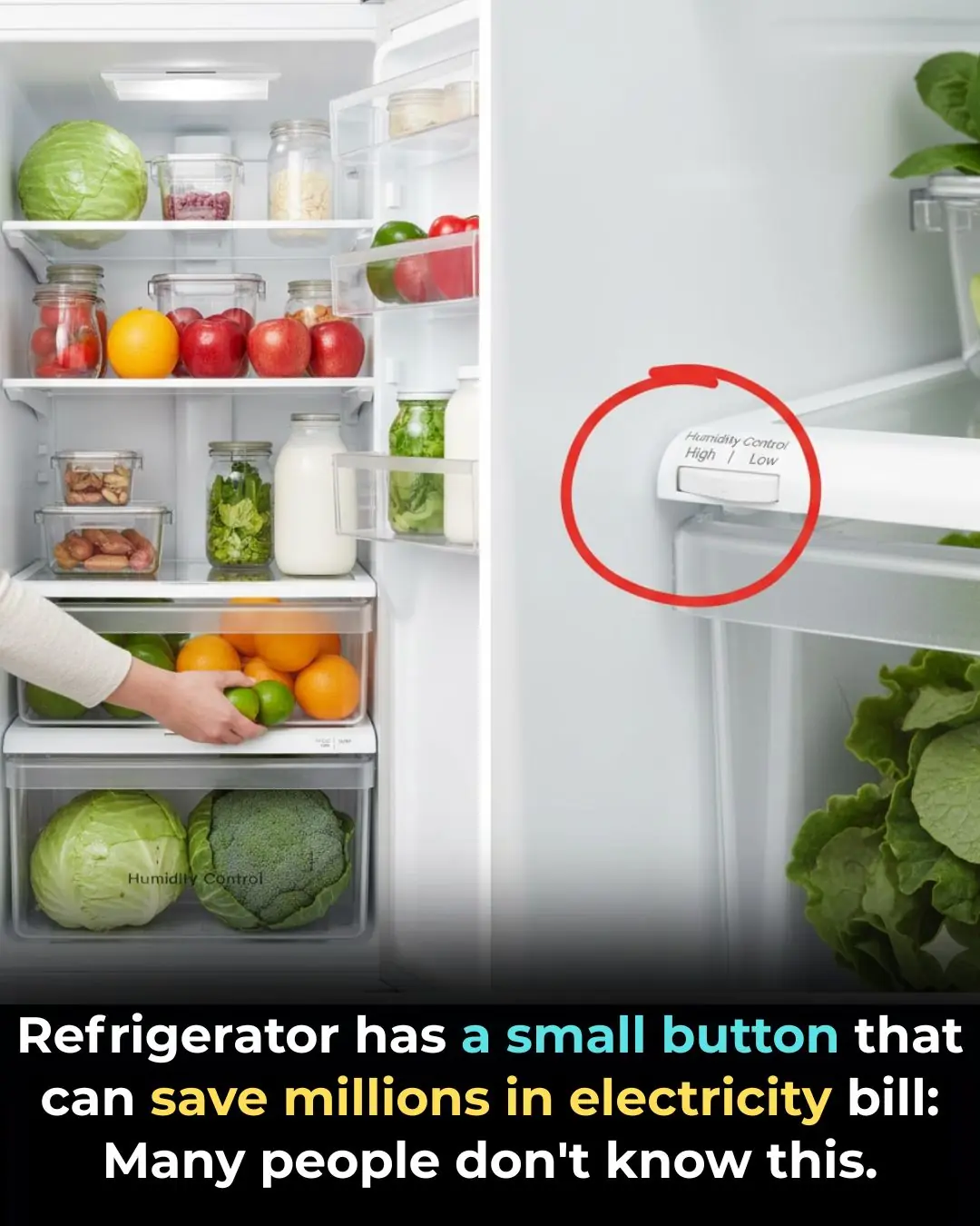 Refrigerator has a small button that can save millions in electricity bill: Many people don't know this.
