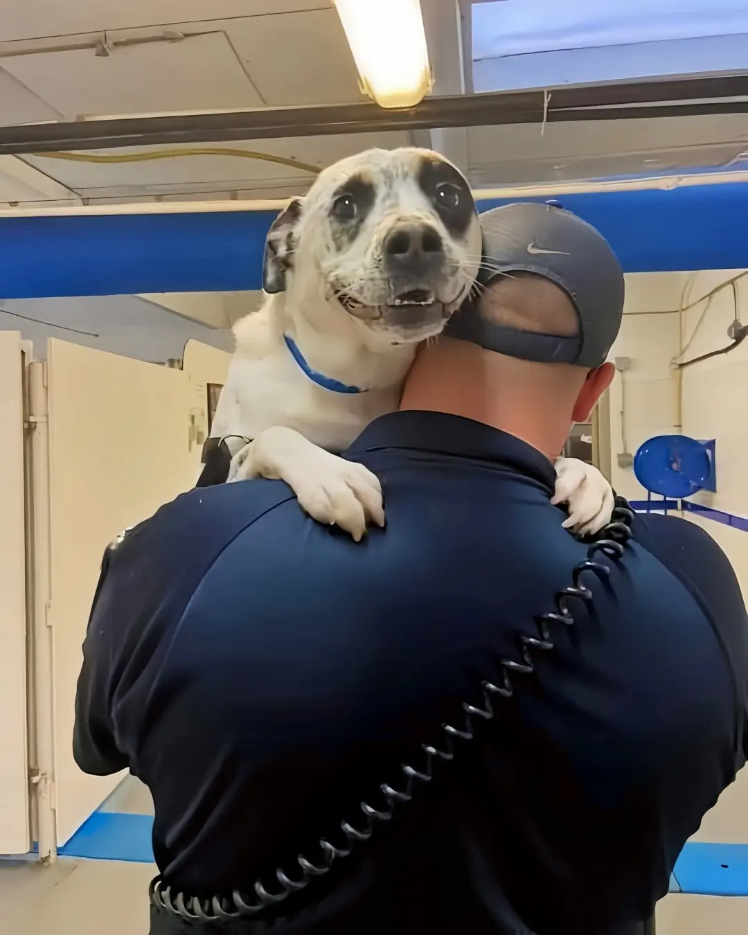 After 450 Days of Waiting, Neo Finally Finds Home