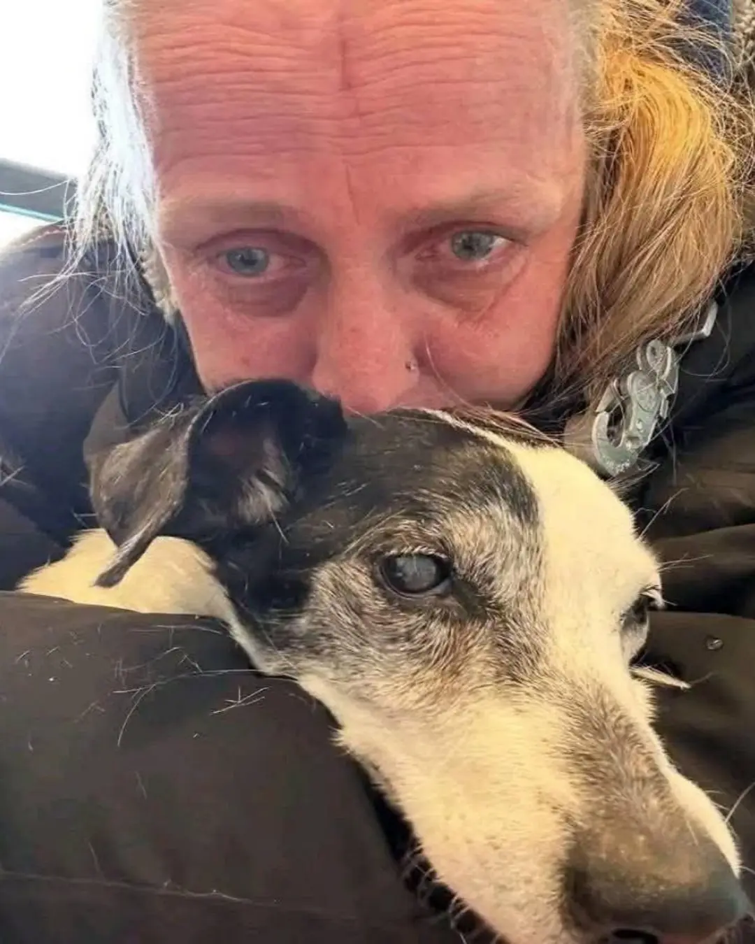 A Final Goodbye to Kira: Sixteen Years of Love, Loyalty, and Memories