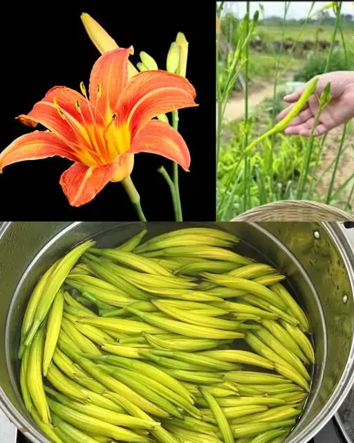 You Thought This Flower Was Just Decorative – Think Again…