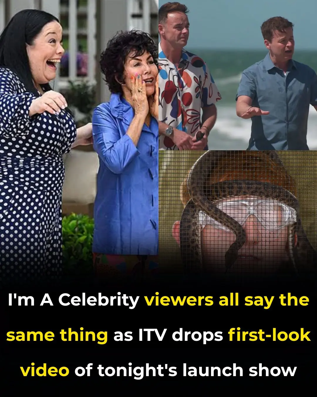 🪂🐍 I’m A Celebrity… 2025 Launch: Winners Secure Steak Dinner as Kelly Brook & Campmates Face the ‘Cockie Van’