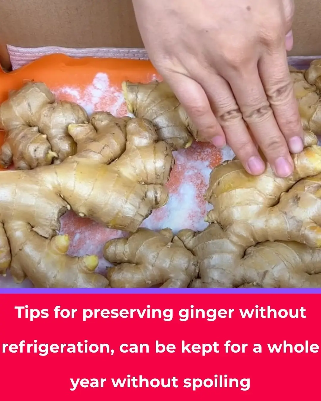 Genius Ways to Store Ginger Without a Refrigerator — Keep It Fresh for an Entire Year