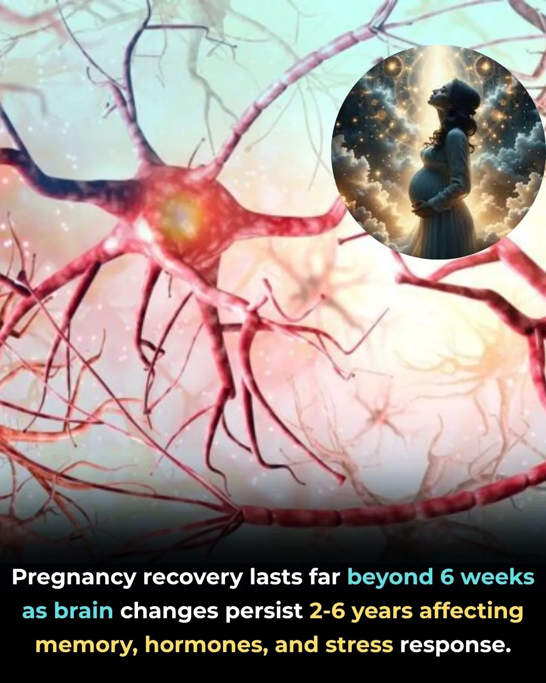 Motherhood Rewires the Brain: Why Postpartum Recovery Takes Years, Not Weeks