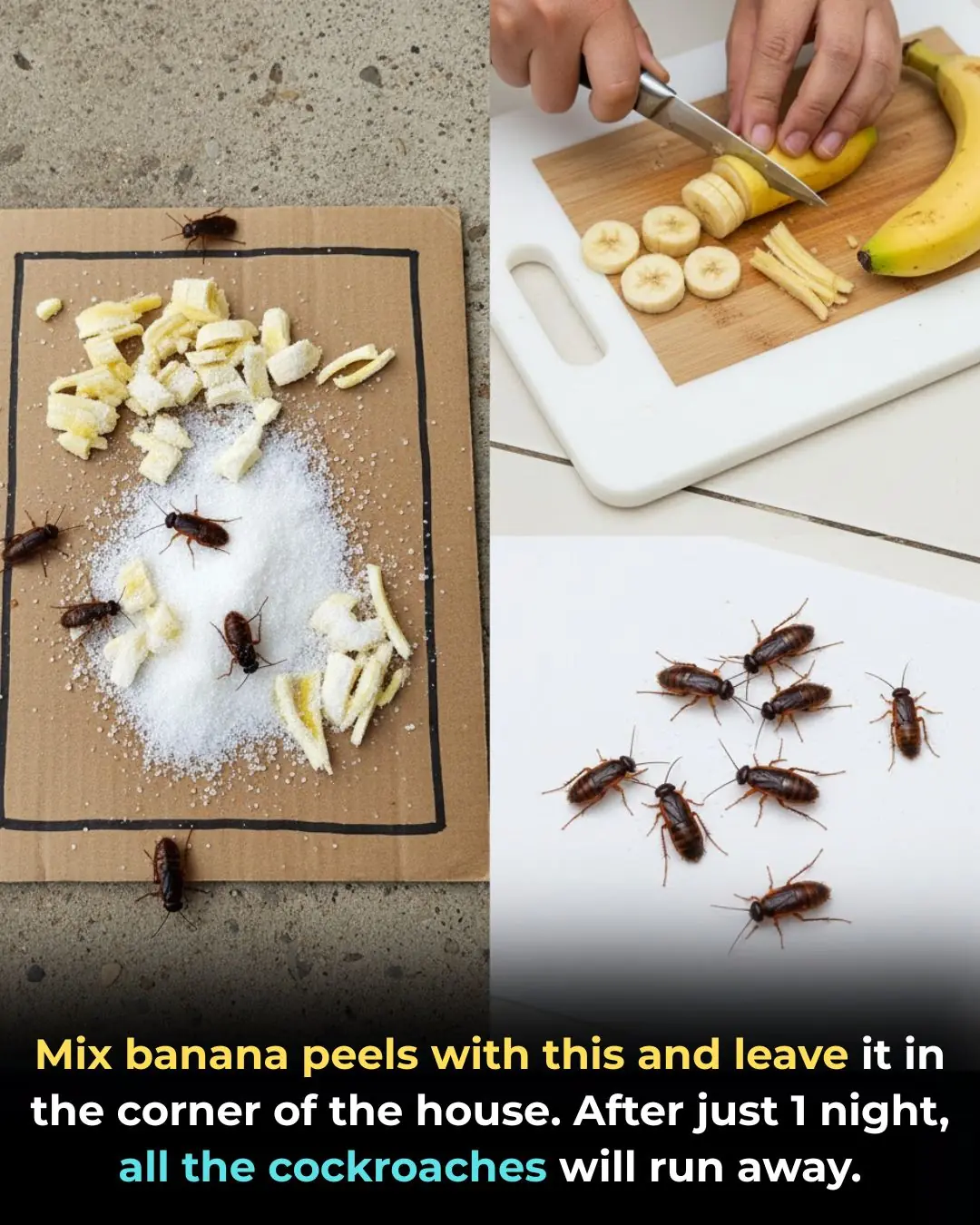 Mix Banana Peels With This and Leave It in a Corner — Roaches Will Disappear Overnight