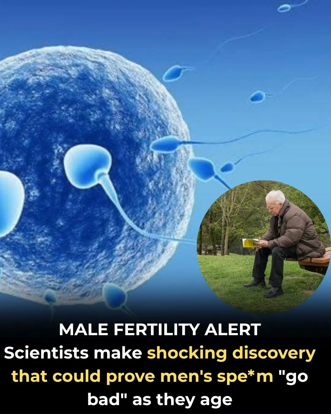 “New Research Reveals How Aging Impacts Male Fertility and Sperm Health”