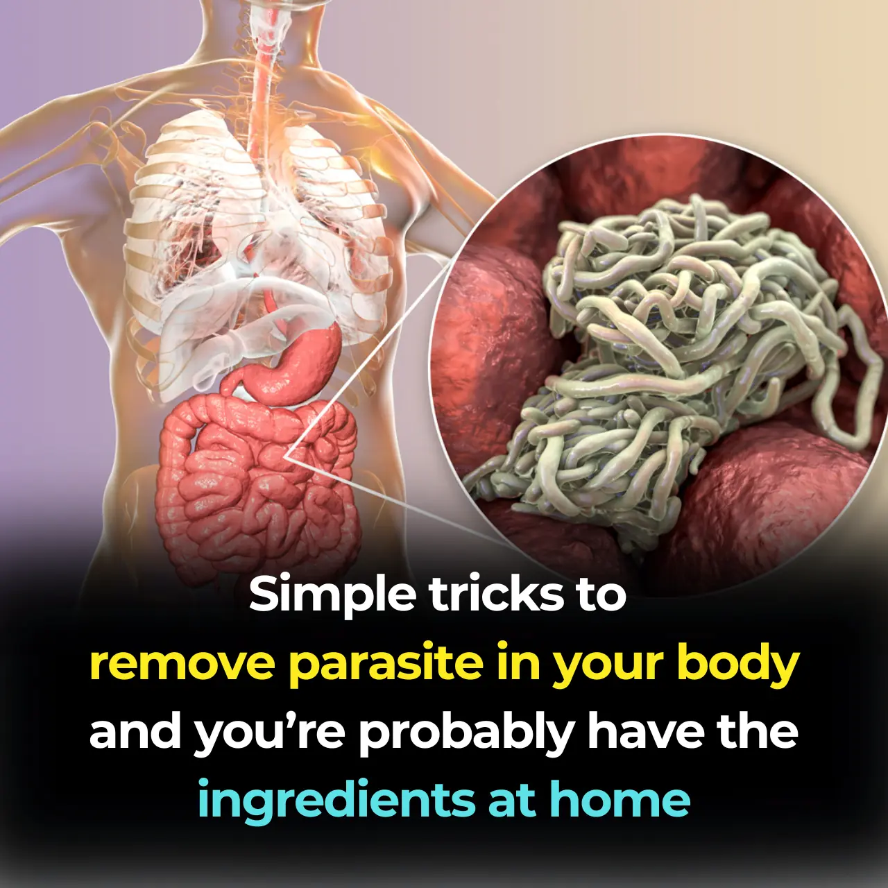 How to Get Rid of Worms in Humans (Including Parasite Cleanse Diet)
