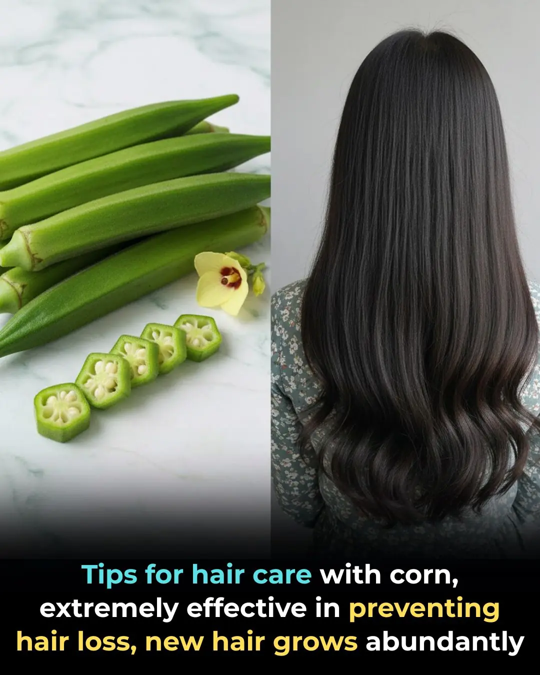 Tips for hair care with corn, extremely effective in preventing hair loss, new hair grows abundantly