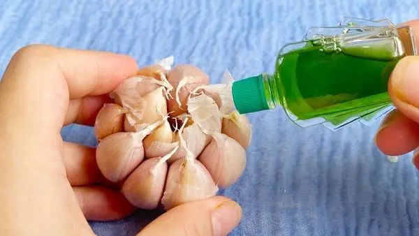 Pouring medicated oil on garlic seems like a strange thing to do, yet it offers surprising benefits that not everyone knows about