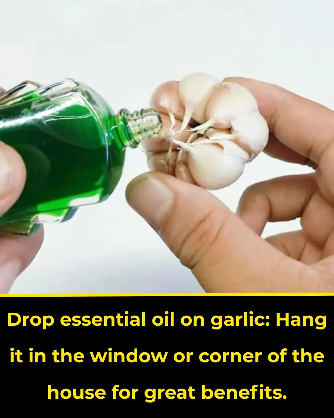 Dropping wind oil on garlic
