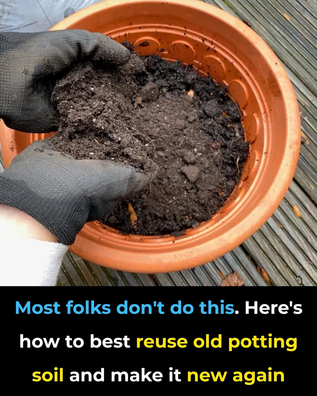 Wish I saw this sooner! Great tips!