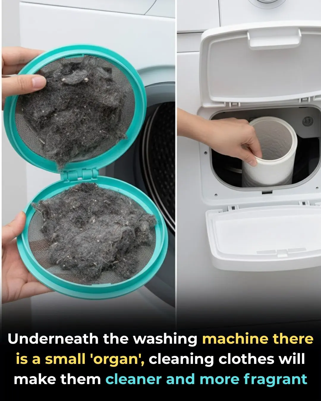 There’s a “Hidden Component” Under Your Washing Machine That Can Make Your Clothes Cleaner and Fresher
