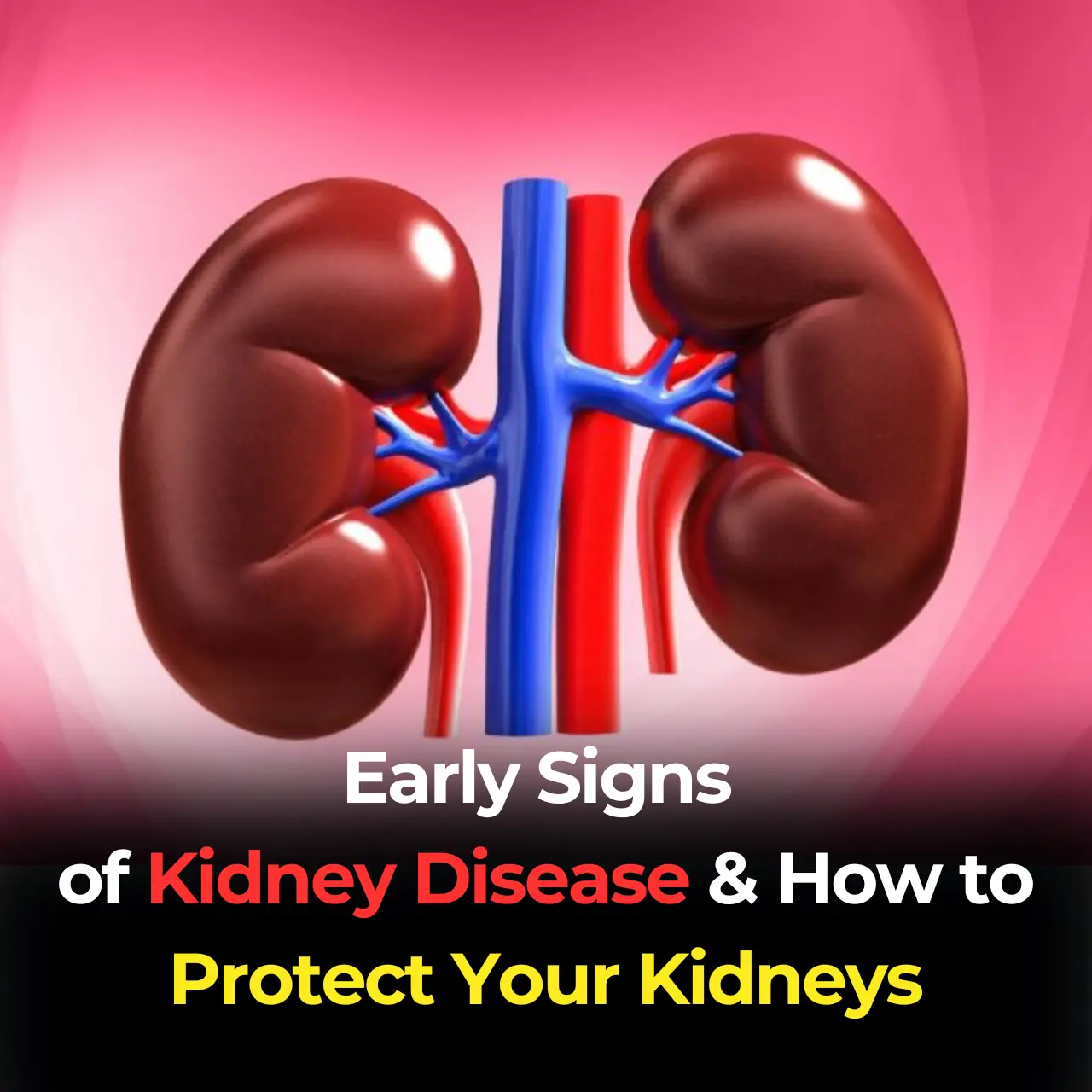 Early Signs of Kidney Disease & How to Protect Your Kidneys