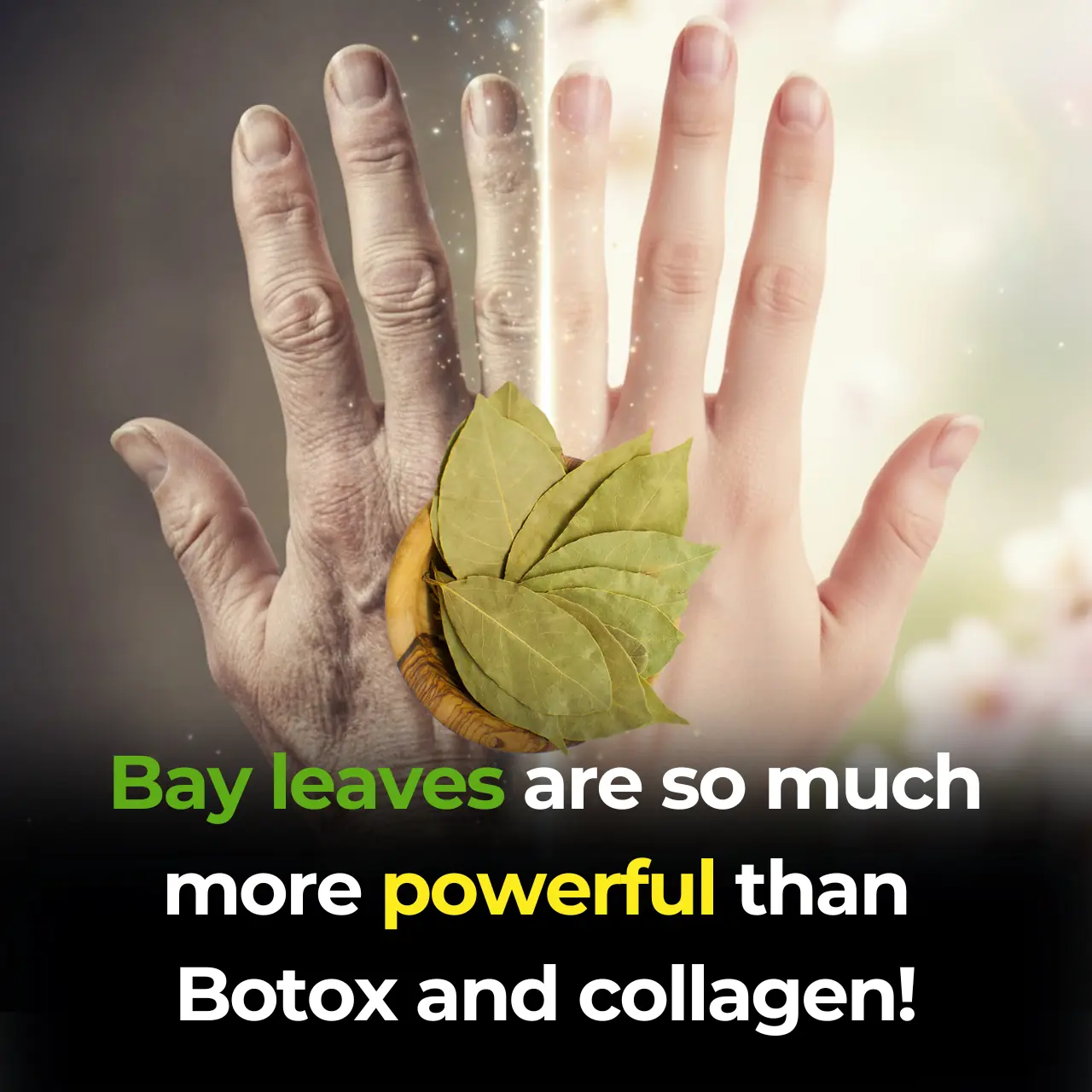 Bay Leaf: Nature’s Secret for Youthful, Smooth and Radiant Skin!