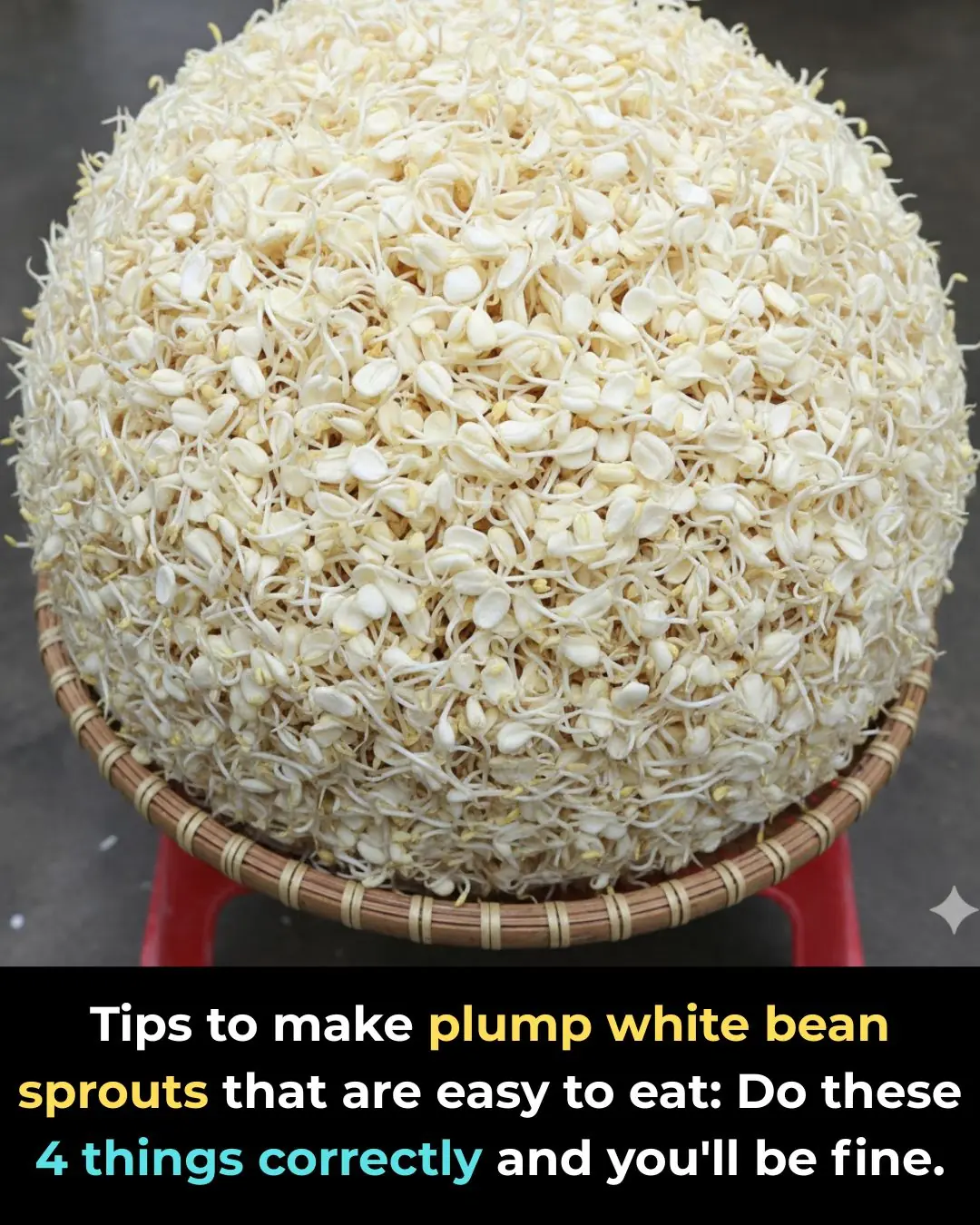 Tips to make plump white bean sprouts that are easy to eat: Do these 4 things correctly and you'll be fine.