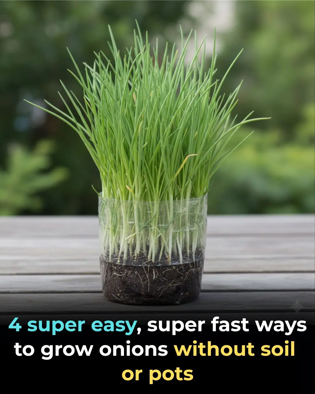4 Super Easy and Fast Ways to Grow Green Onions Without Soil or Pots