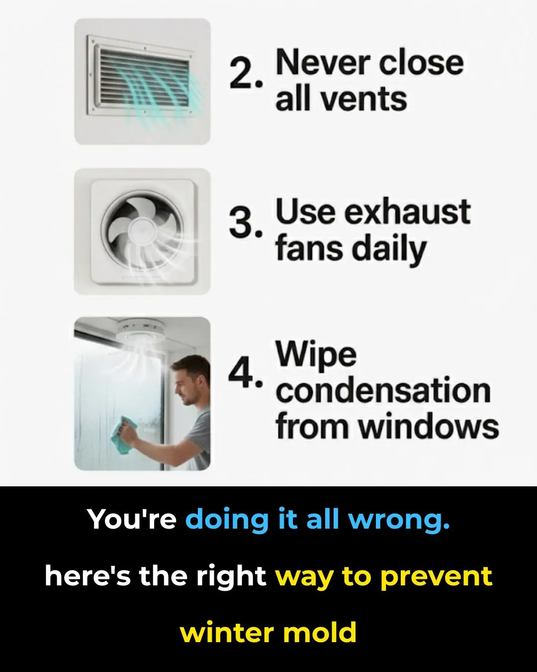 You're Fighting Winter Mold the Wrong Way — Here’s How to Stop It for Good
