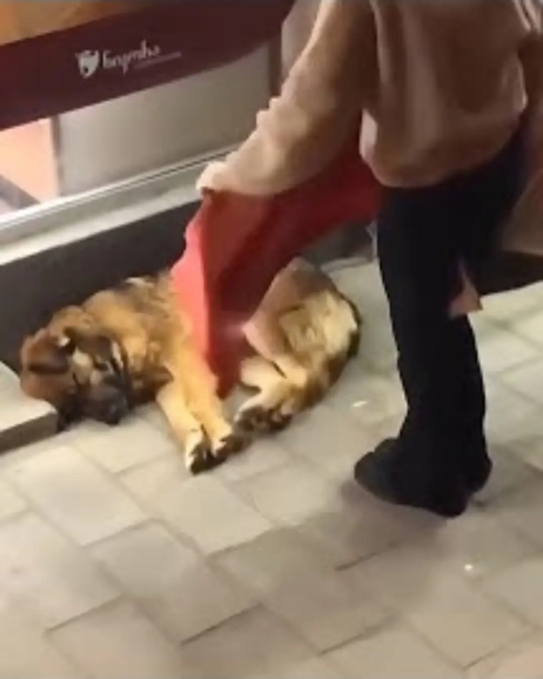 A Blanket in the Cold.