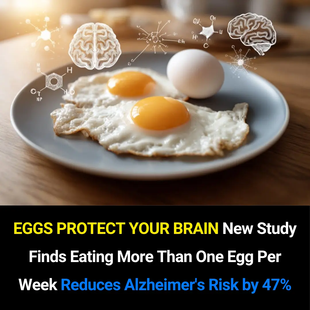 Eating Eggs Weekly May Reduce Alzheimer’s Risk by 47%: What New Research Reveals