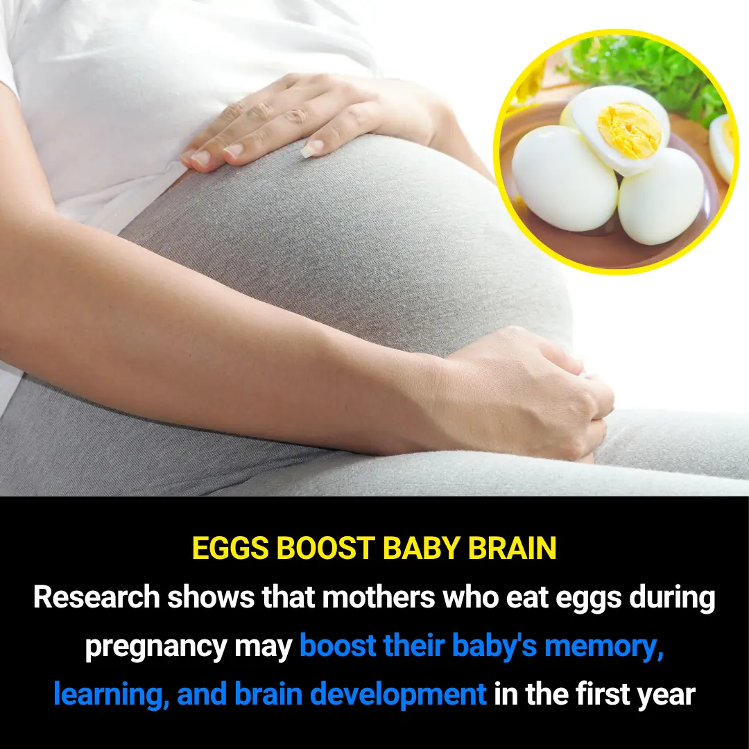 Eggs in Pregnancy: How They Can Supercharge Your Baby’s Brain Development