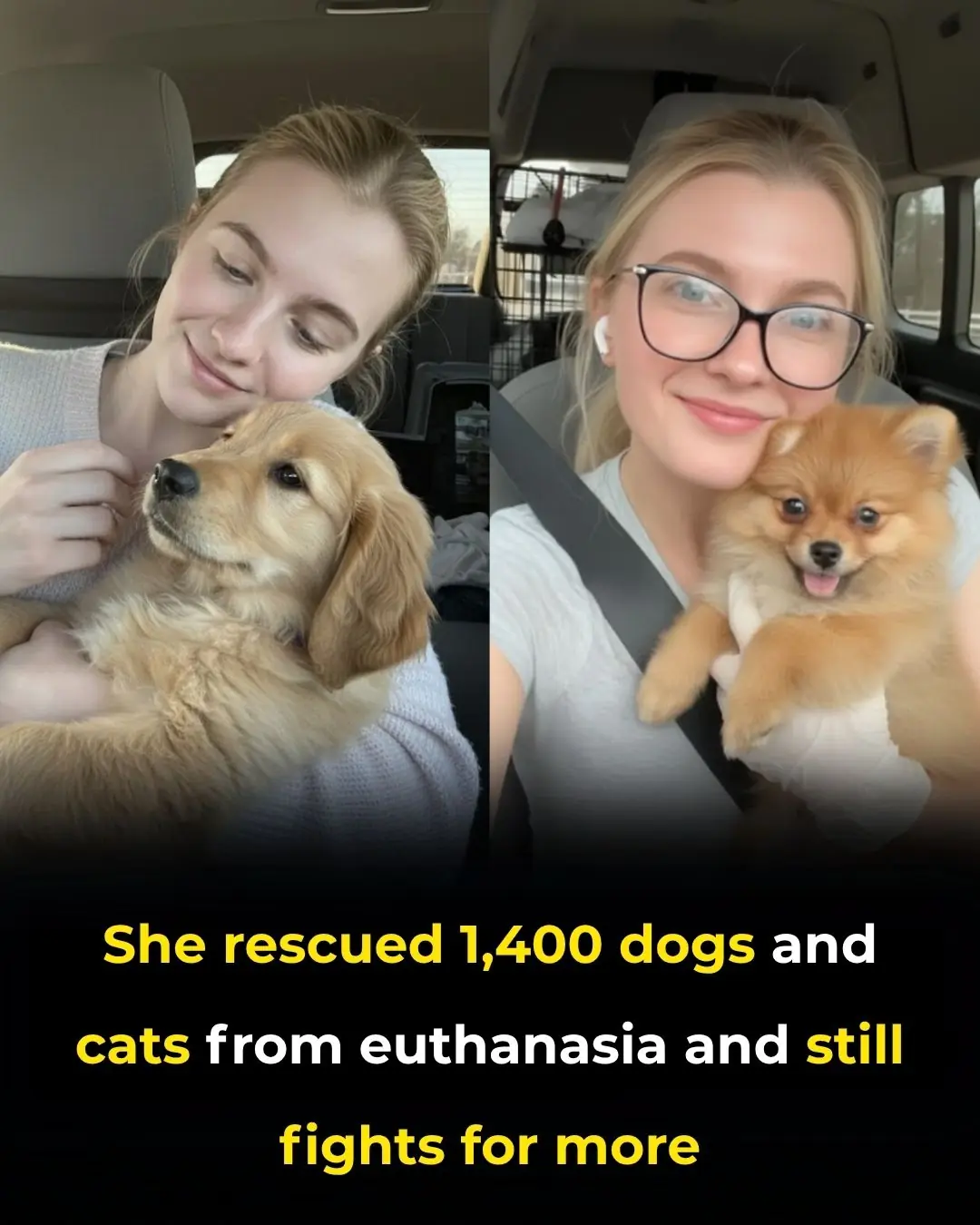 A Quiet Hero: The 24-Year-Old Saving Over 1,400 Animals from Euthanasia