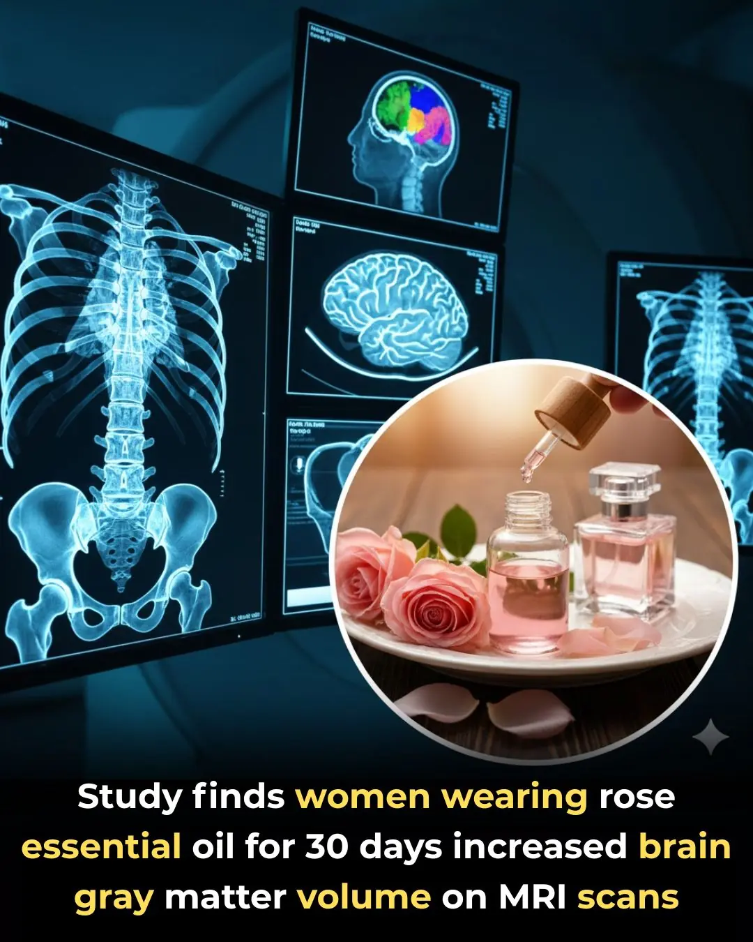 How Rose Essential Oil May Reshape the Brain: A Deep Dive Into a Surprising New Study