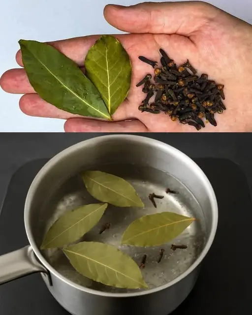 The Surprising Benefits of Boiled Bay Leaves and Cloves: A Natural Elixir for Wellness