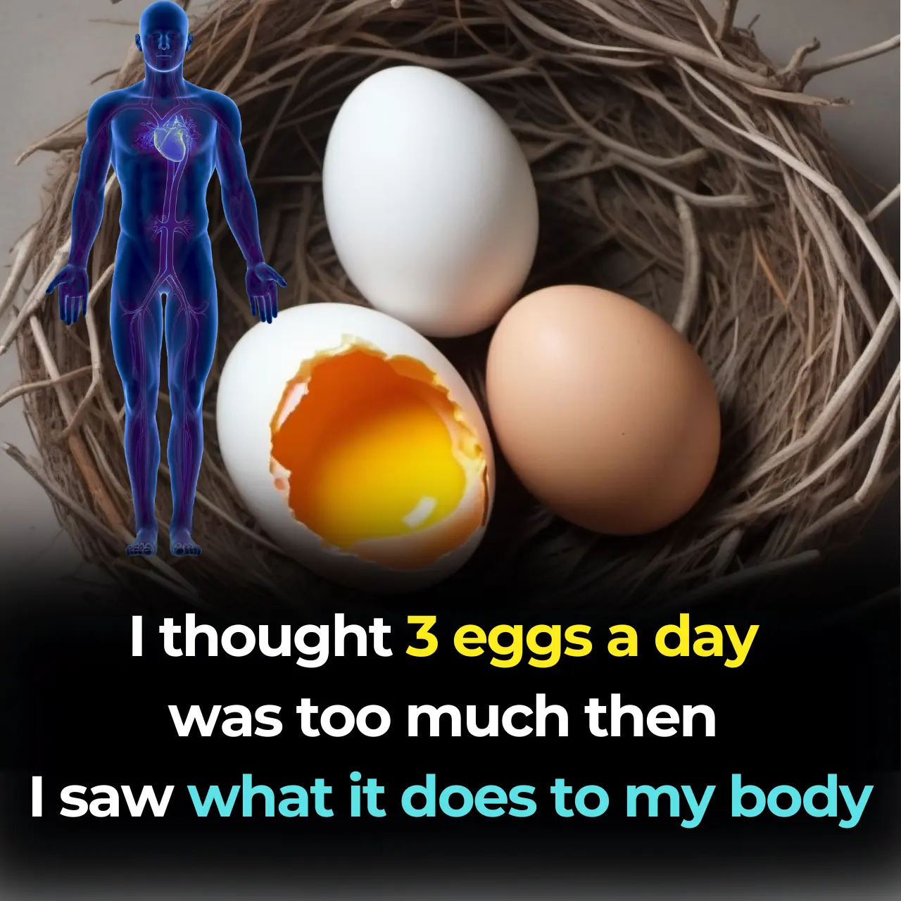 Proven Health Benefits of Eating Eggs Based on Evidence