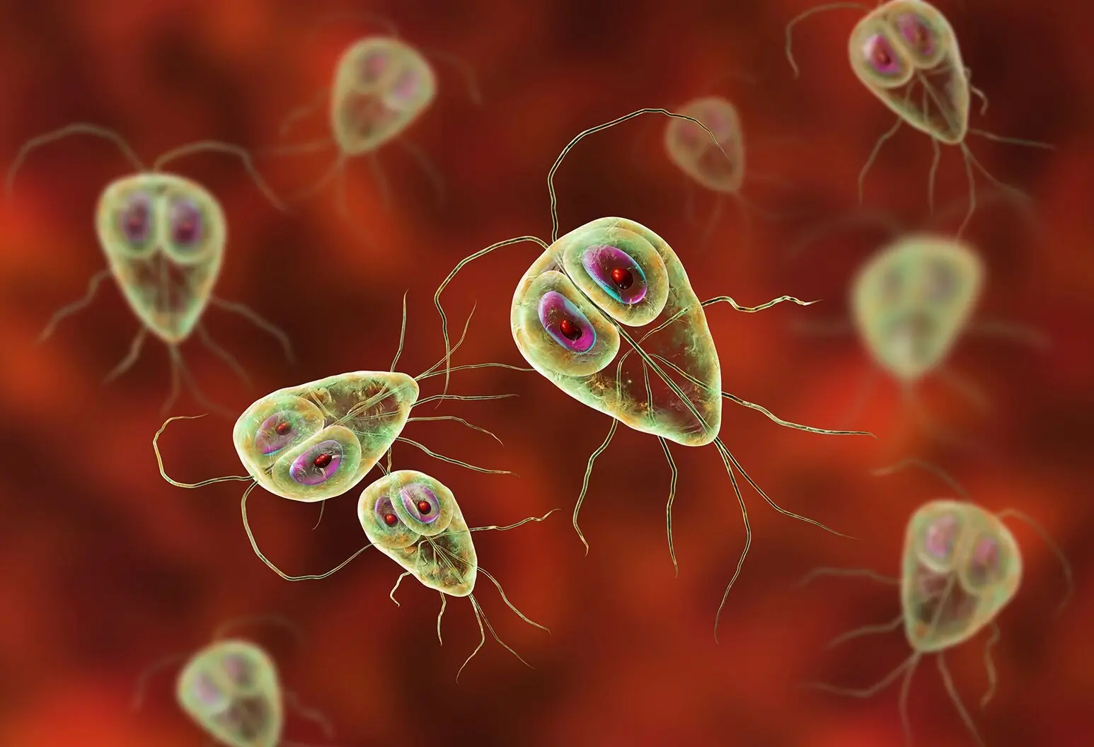 Hidden signs of parasites in your body and how to flush them out naturally