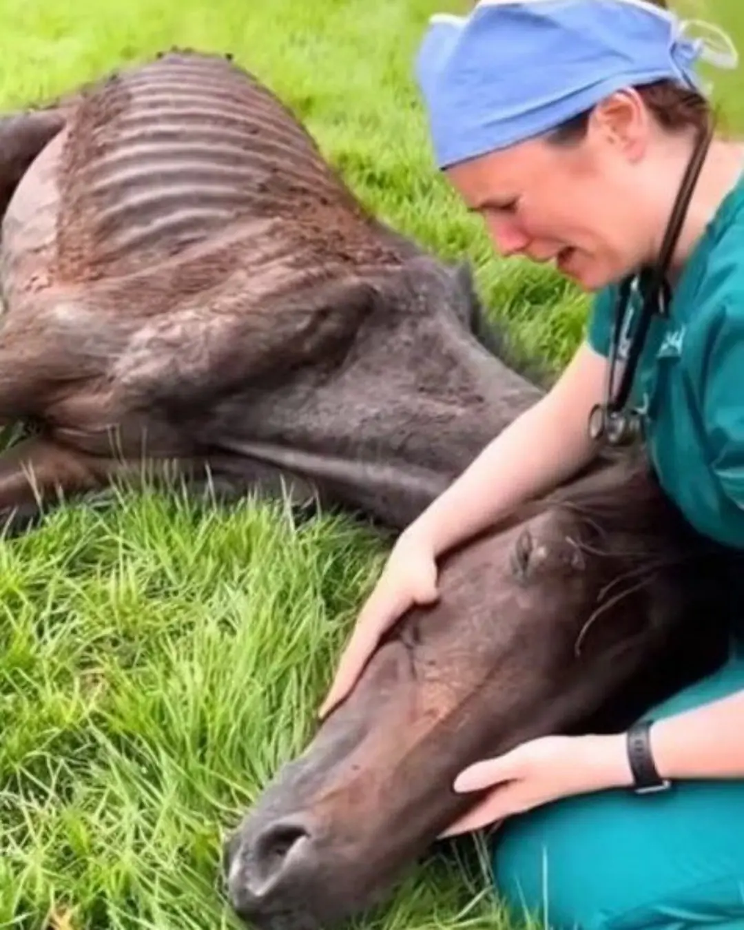 When Atlas Finally Fell — And Someone Finally Caught Him.