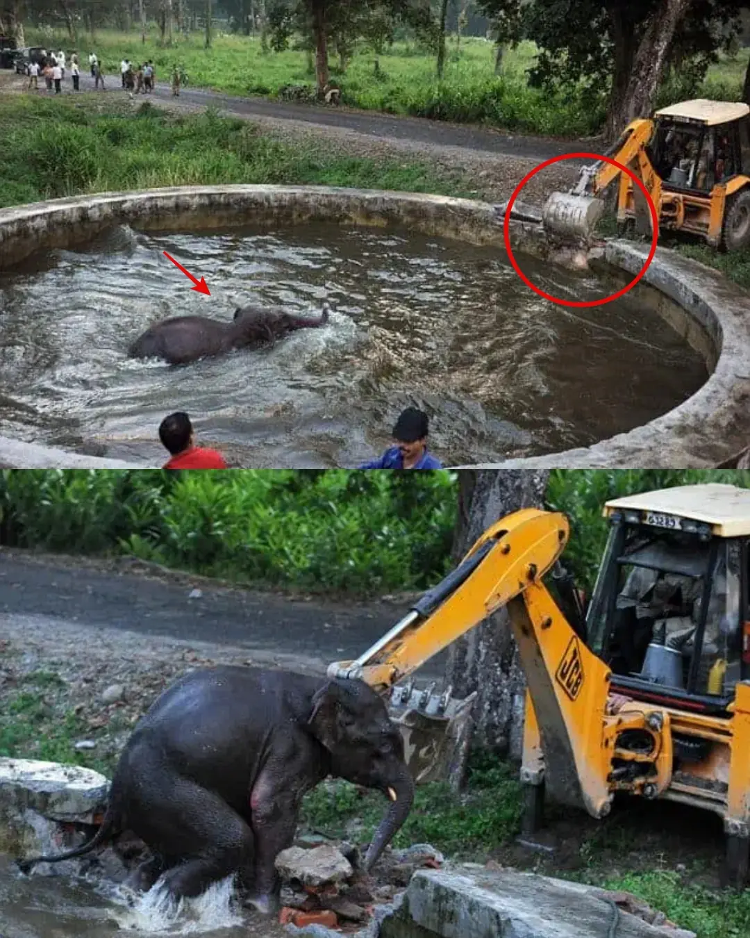 When a Baby Elephant Called for Help — and Soldiers Answered.