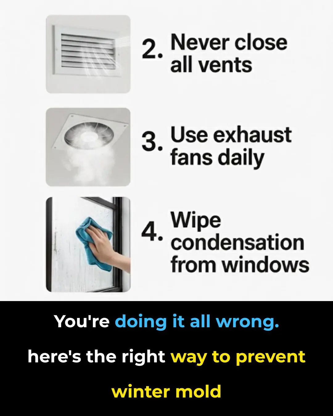 You're Doing It All Wrong. Here’s the Right Way to Prevent Winter Mold