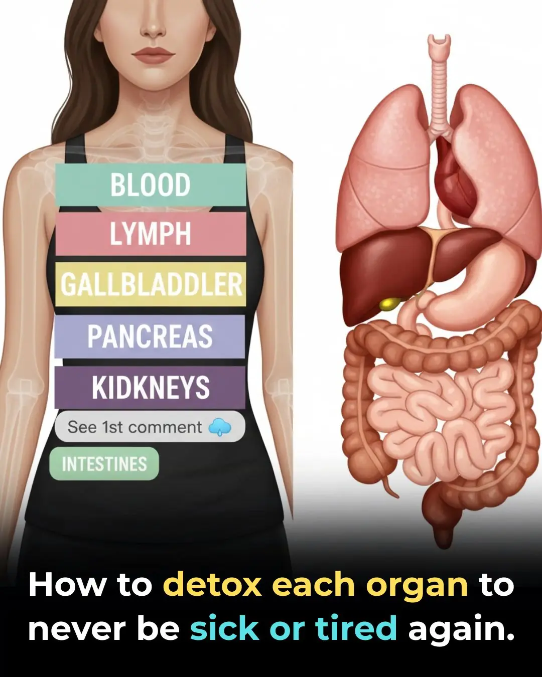 How To Detox Each Organ To Reset Your System
