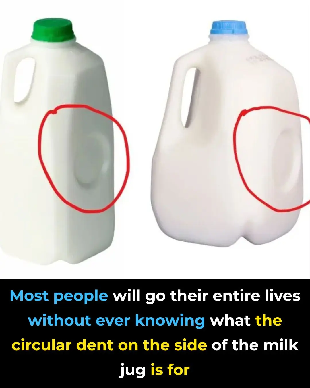 Whoa, I Had No Idea This Is Why Milk Jugs Have That Dent