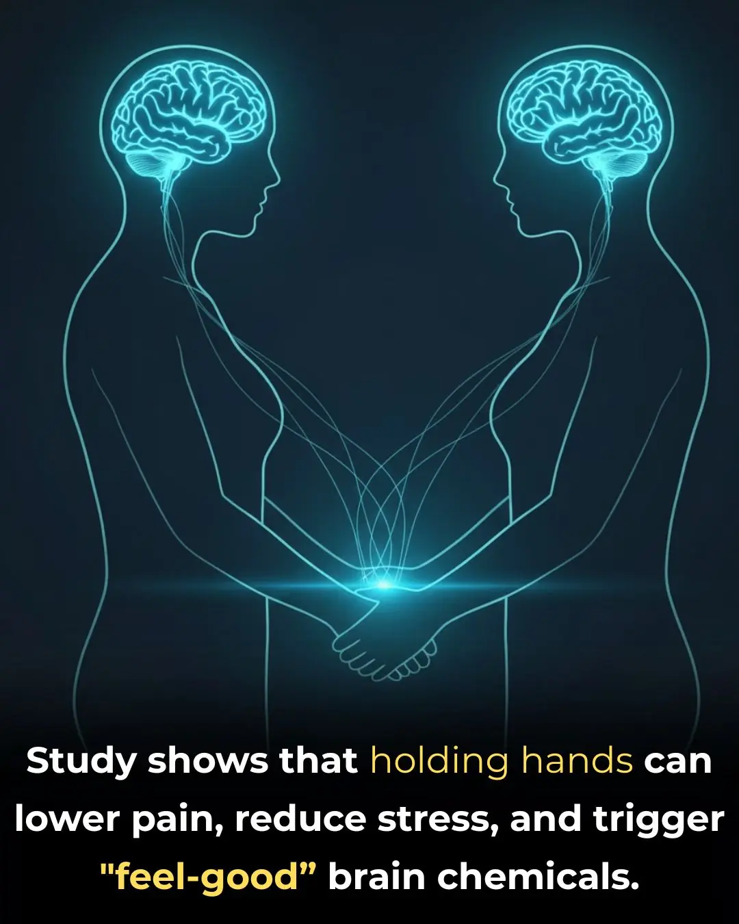 The Science of Touch: How Holding Hands Calms the Brain and Eases Pain