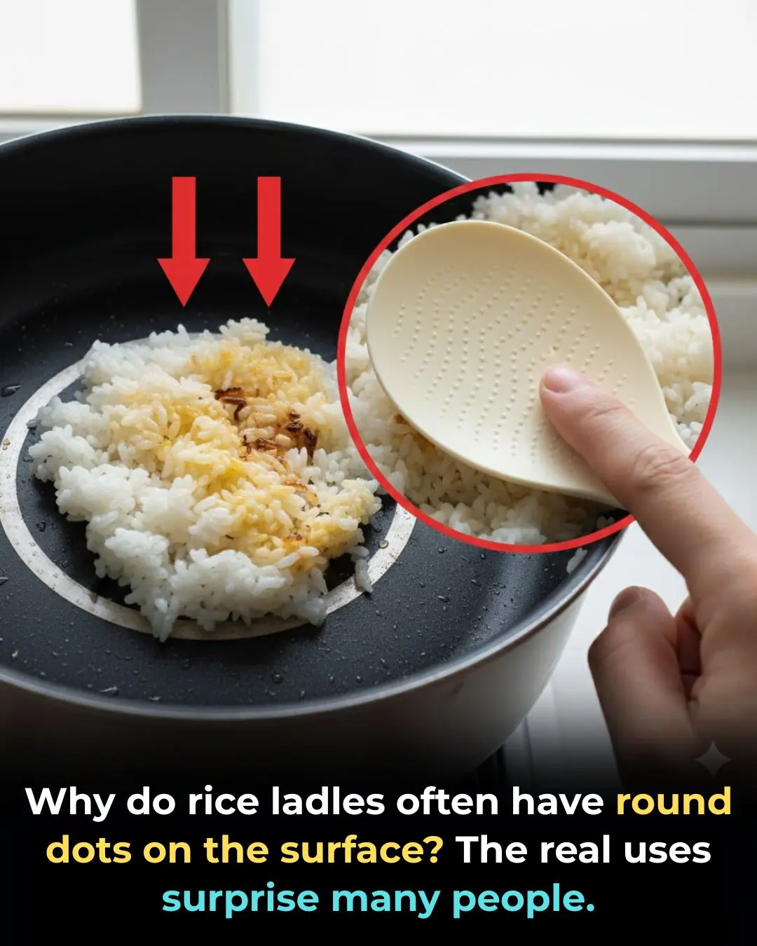 Why Do Rice Scoops Have Tiny Raised Dots on the Surface? The Real Purpose May Surprise You