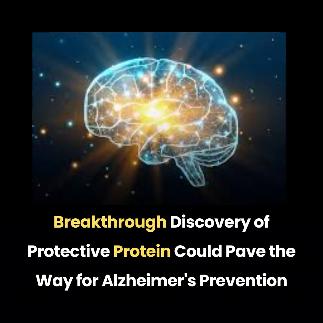 Breakthrough Discovery of Protective Protein Could Pave the Way for Alzheimer's Prevention