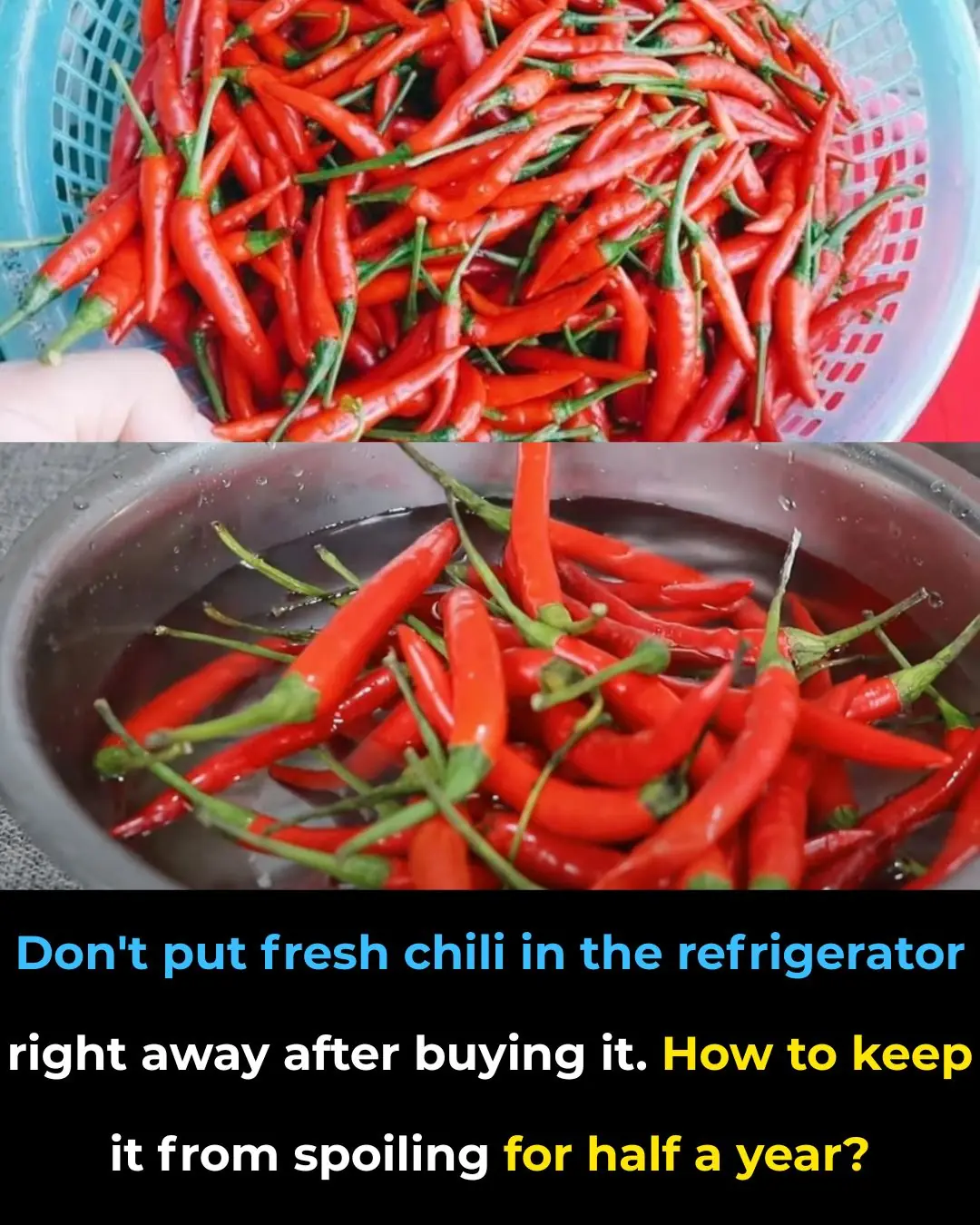 Don't put fresh chili in the refrigerator right away after buying it. How to keep it from spoiling for half a year?