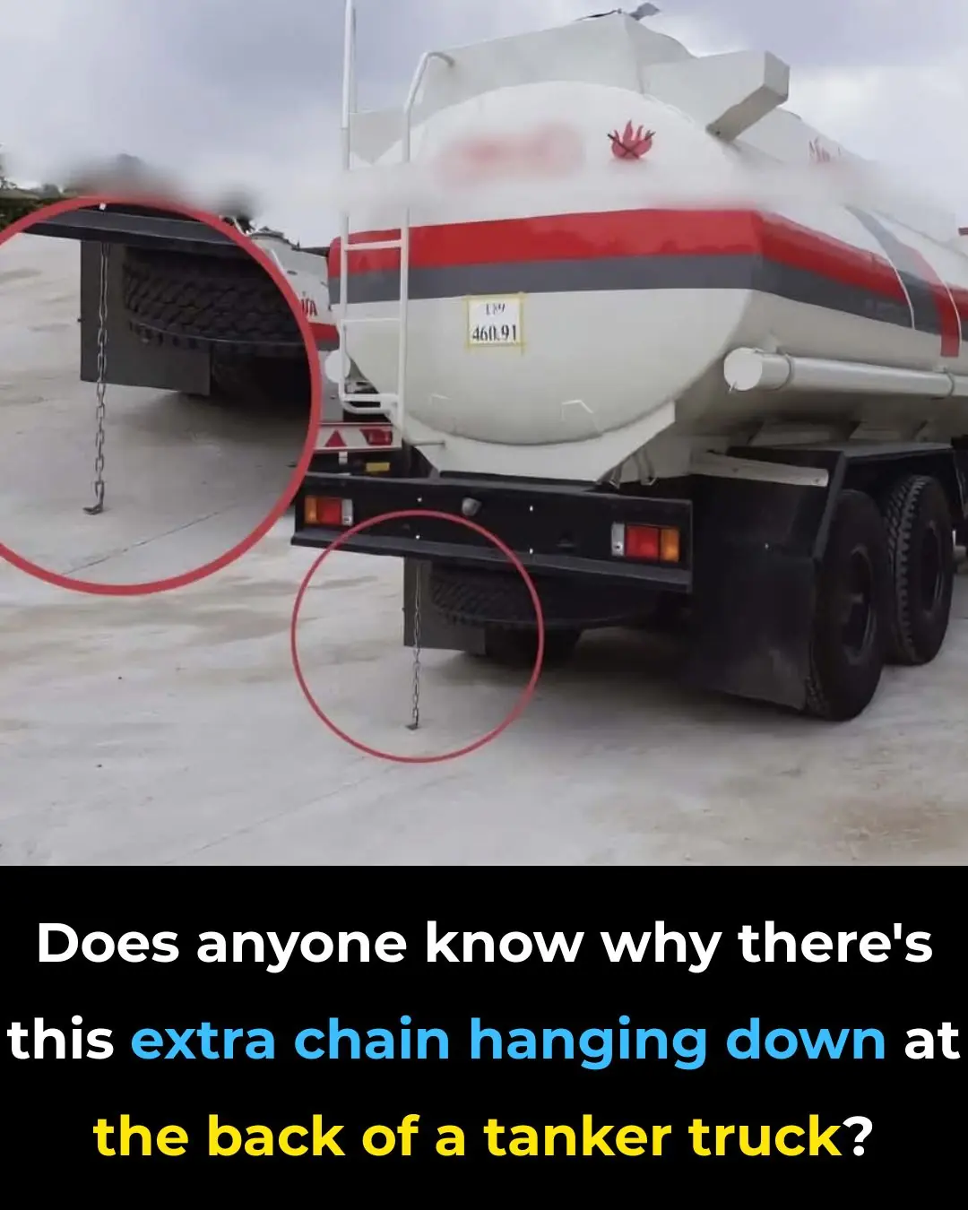 3 Effective Ways to Keep Snakes Out of Your Home